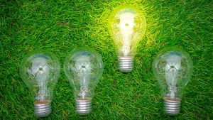 بسترسازی و تسهیل رشد طرف مقابل