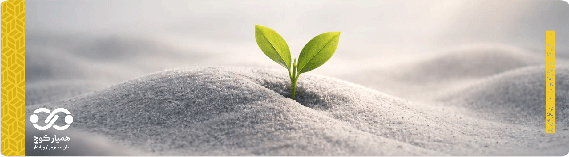 همیار کوچ - دوره رایگان از بقا تا معنا